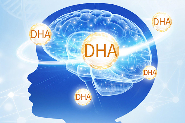 Brain Development